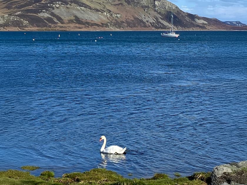 Surrounding area | Cosy Cottage, Lamlash