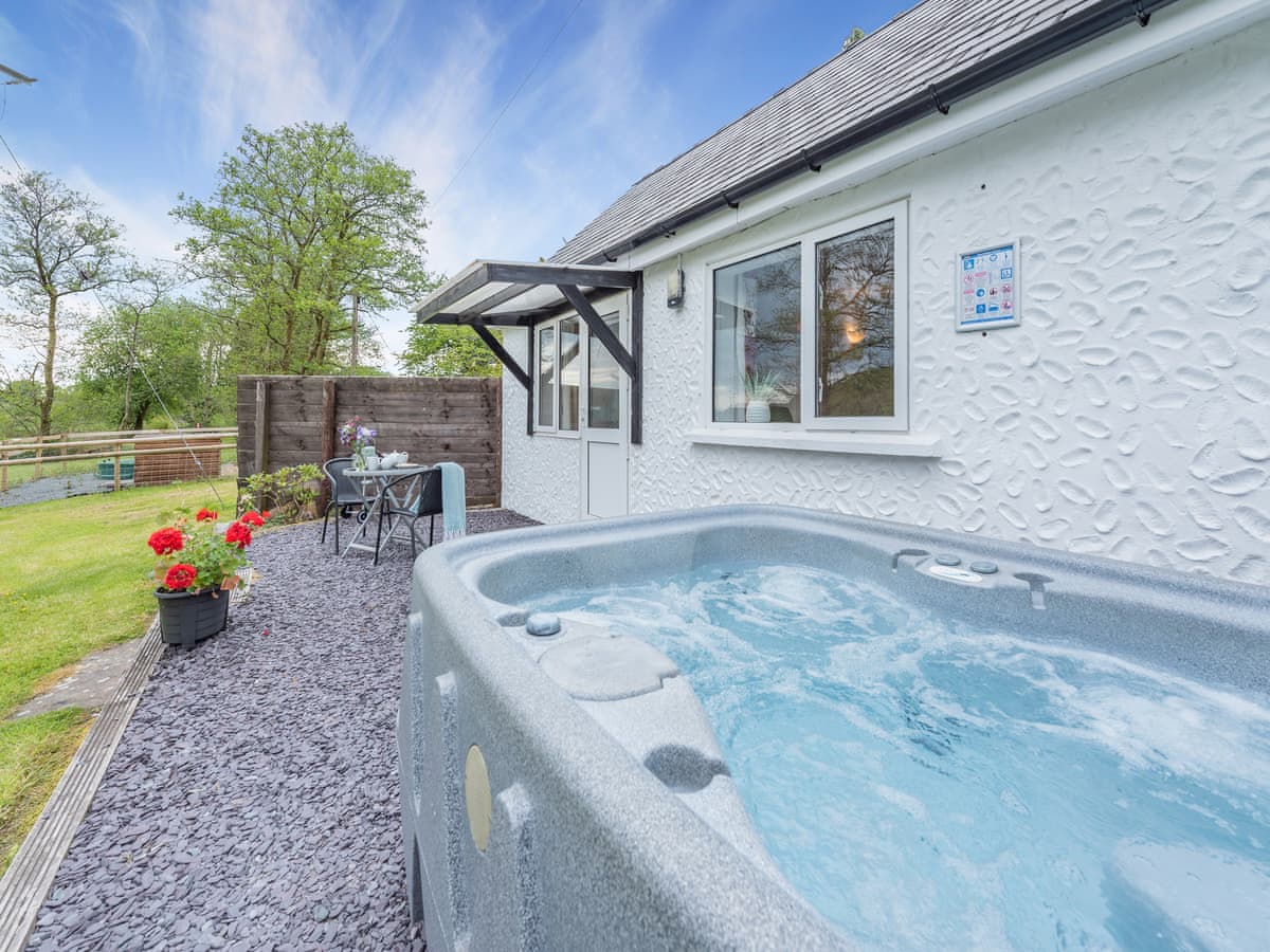Maesydderwen Holiday Cottages - The Lodge - Holiday lodge in South Wales - Image 1
