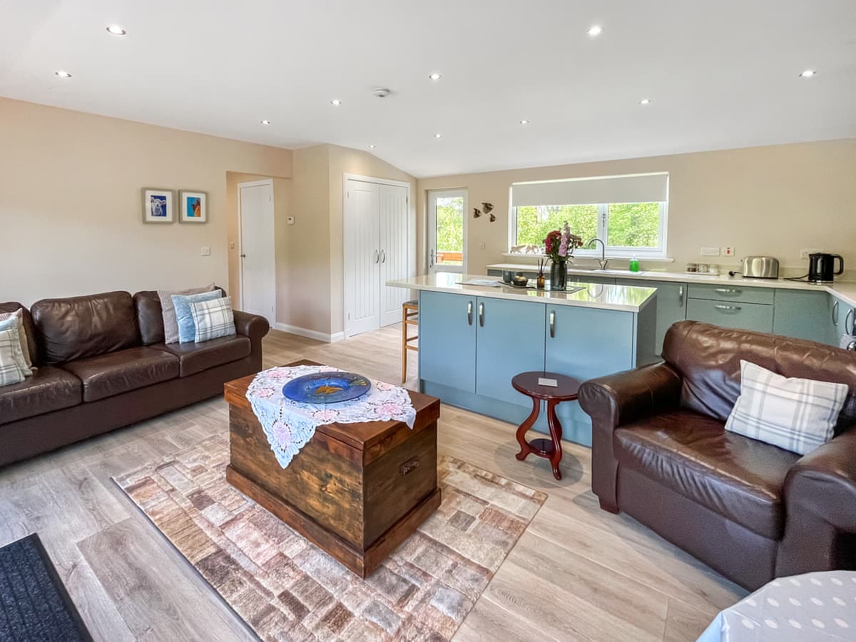 Alderneuk Lodges - Ridge View Lodge - Holiday lodge in Southern Scotland - Image 4