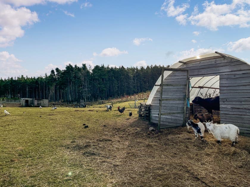 Outdoor | Willow Bale Cabin - Straw Bale Cabins, Dallas