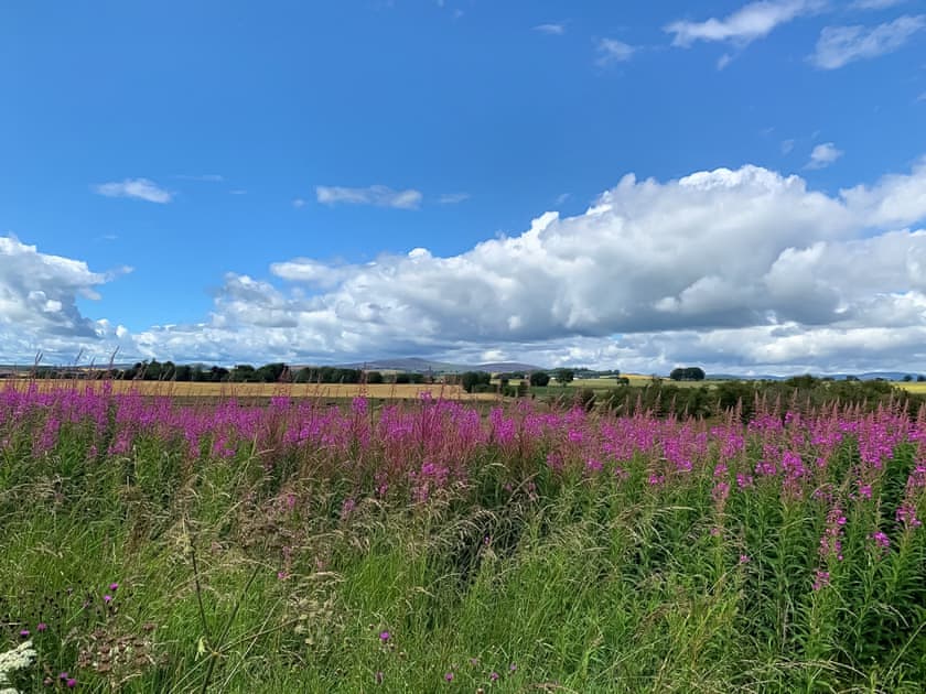 Surrounding area | Farmtoun Cottage, Forfar