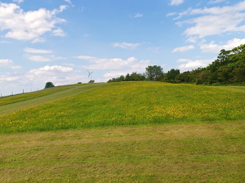 Surrounding area | Sunset Cabin, Ormskirk