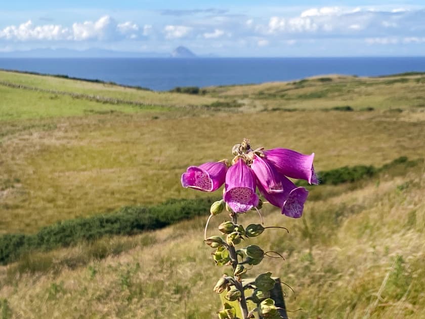 Surrounding area | Seascape Barn, Kirkcolm, near Stranraer