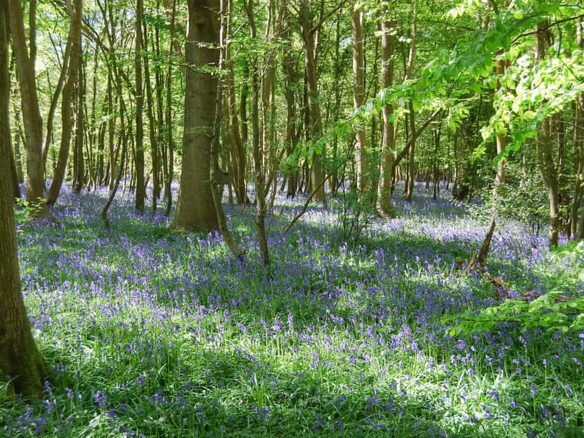 Surrounding area | Studio Apartment 106 - Herstmonceux Castle Estate, Herstmonceux