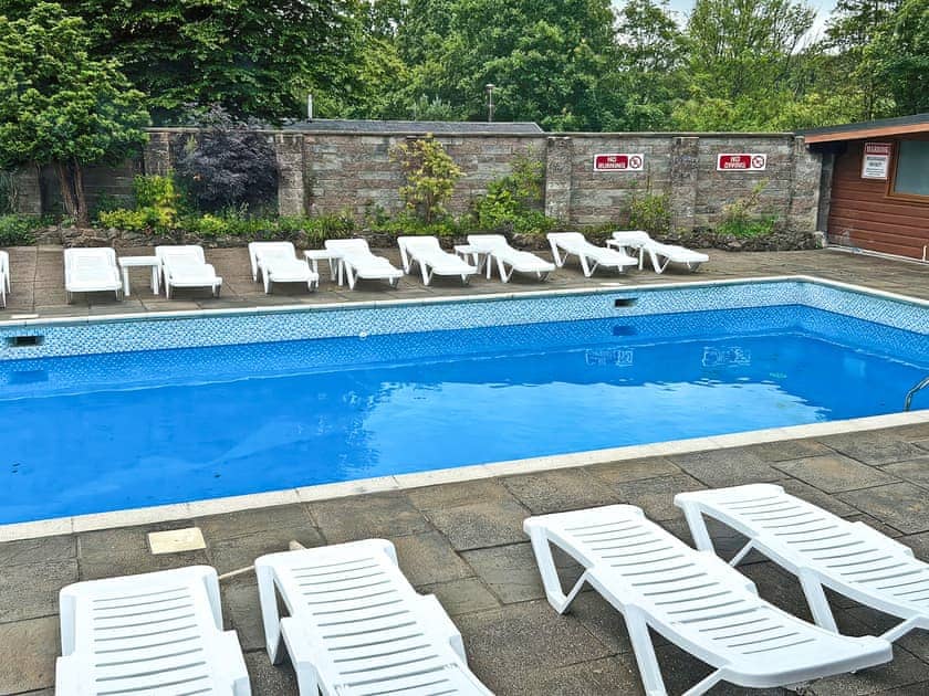 Swimming pool | Twit Too Woo, Cenarth, near Newcastle Emlyn