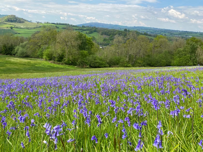 Beautiful country walks from the front door | Malt House, Skenfrith, near Monmouth