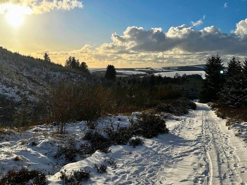 Snow In The Preseli Hills | Oystercatcher Cottage, Llangwm, near Haverfordwest