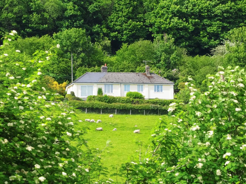 Exterior | Forest Cottage, Cascob, near Presteigne