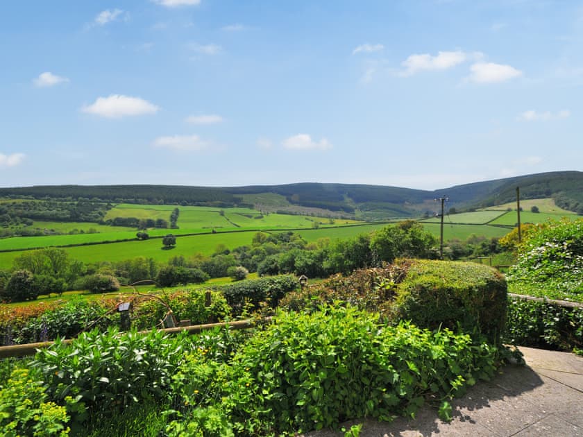 View | Forest Cottage, Cascob, near Presteigne