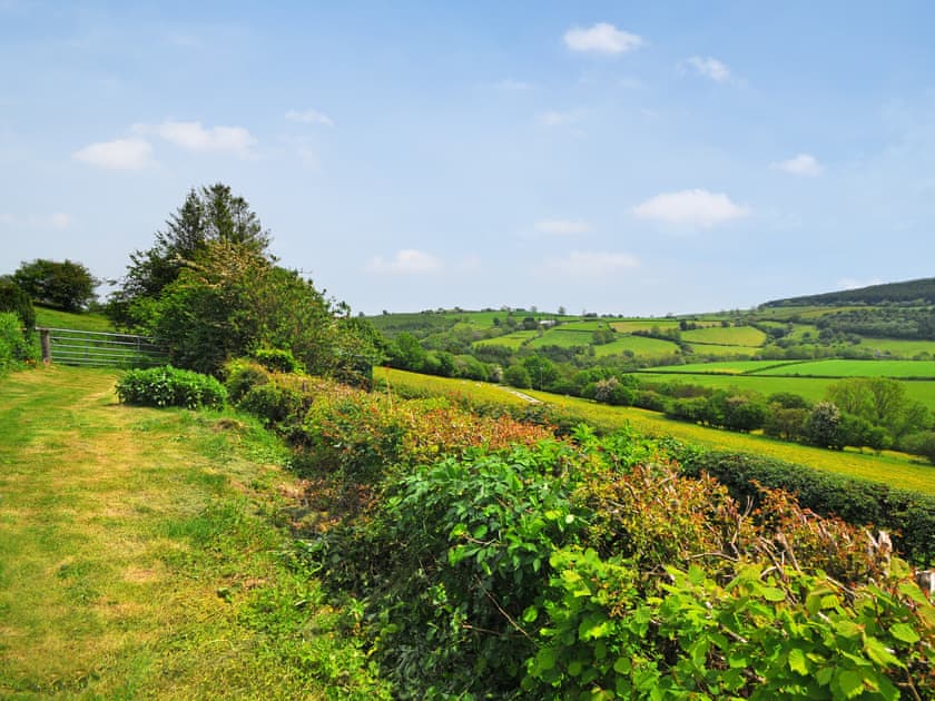 View | Forest Cottage, Cascob, near Presteigne