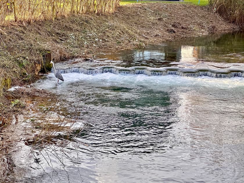River at the bottom of the garden | Nuthatch, Cirencester