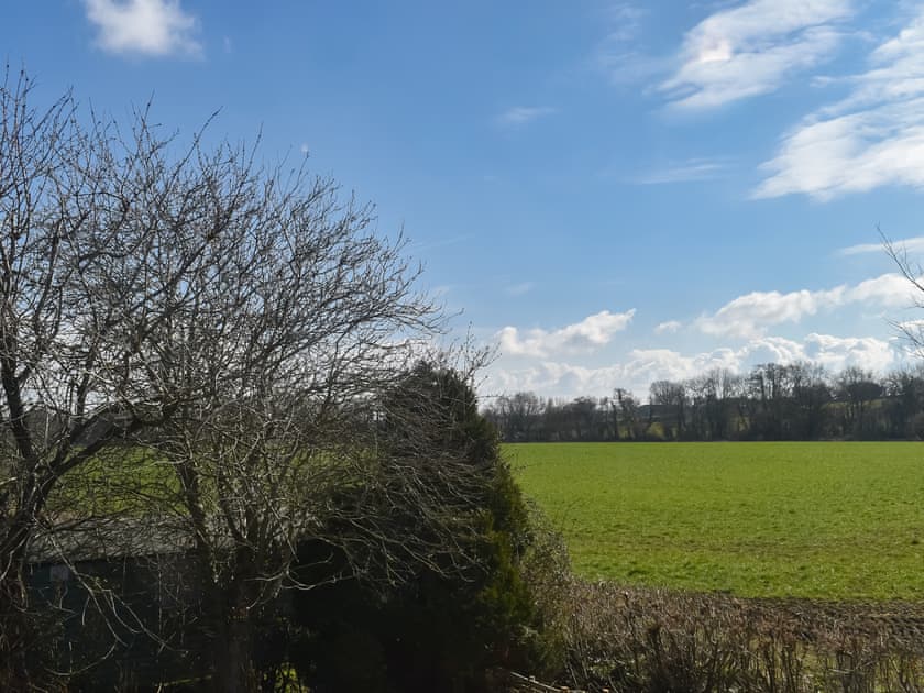 Surrounding area | Pickled Onion Cottage, Taunton