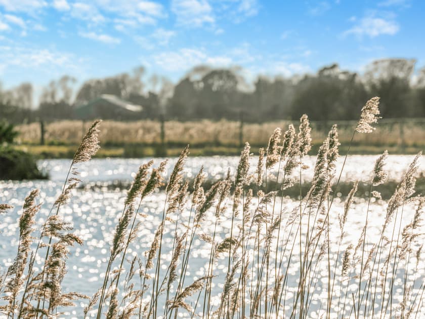 Surrounding area | Lodge 2 - Fieldview Fishery, Saltfleetby