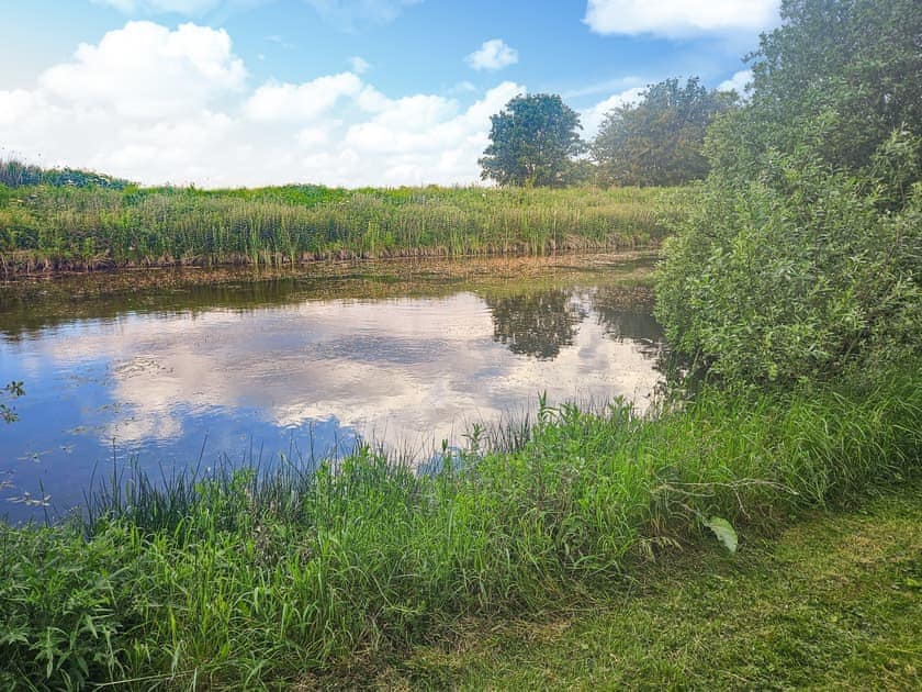 Garden | Riverside, Stonea, near Ely