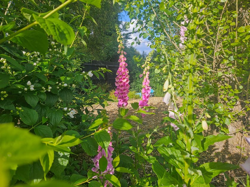 Garden | Riverside, Stonea, near Ely