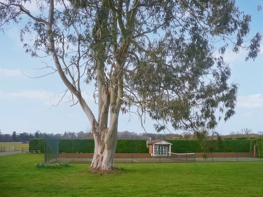 Tennis court | Cottage 3 - Oaklands Farm, East Tytherley