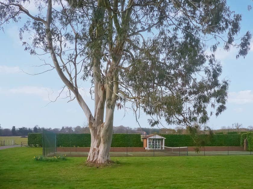 Tennis court | Oaklands Farm- Cottage 1 - Oaklands Farm, East Tytherley