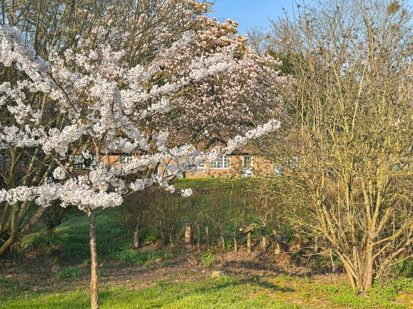 Garden and grounds | Little Cottage - Little Court Cottages, Gloucester