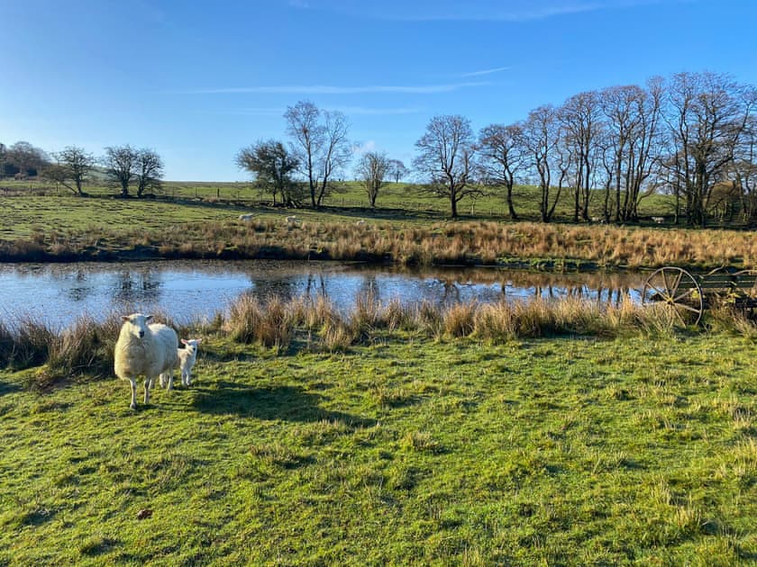 Surrounding area | Ash Lodge at Lon Lodges, Near Rhayader