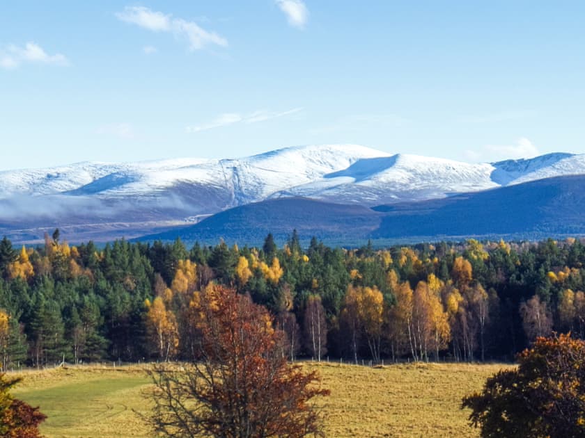 Surrounding area | Heath Cottage, Boat of Garten, near Aviemore