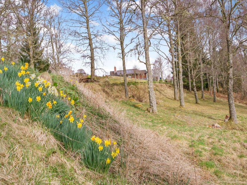 Surrounding area | Clunie Dam Lodge, Loch Tummel