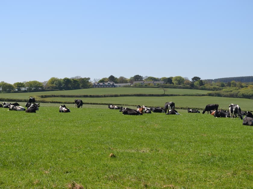 Surrounding area | Hawthorn Apartment - Moorhead Country Holidays, Woolfardisworthy, Clovelly