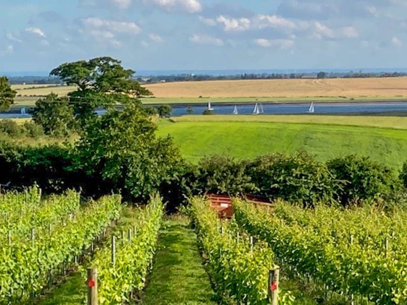 Surrounding area | Holly - Hall Farm Cottages - Hall Farm Cottages, Althorne, near Chelmsford