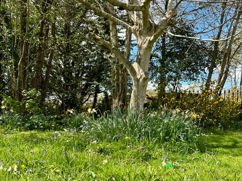 Outdoor area | The Coach House, Hailsham, near Battle