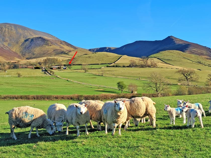 Exterior | Fell Foot - Barkbeth Farm, Bassenthwaite, Keswick