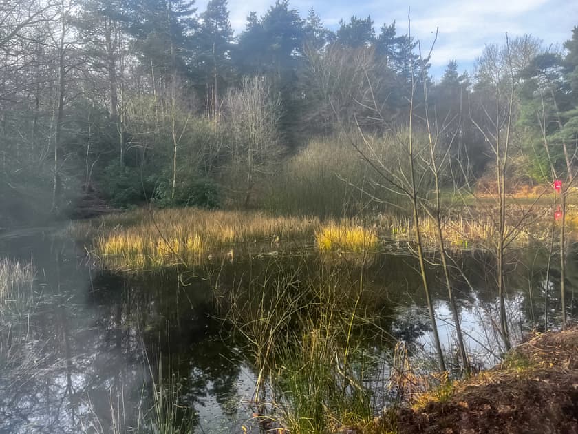 Holt country park | HollyhocksHollyhock House, Holt