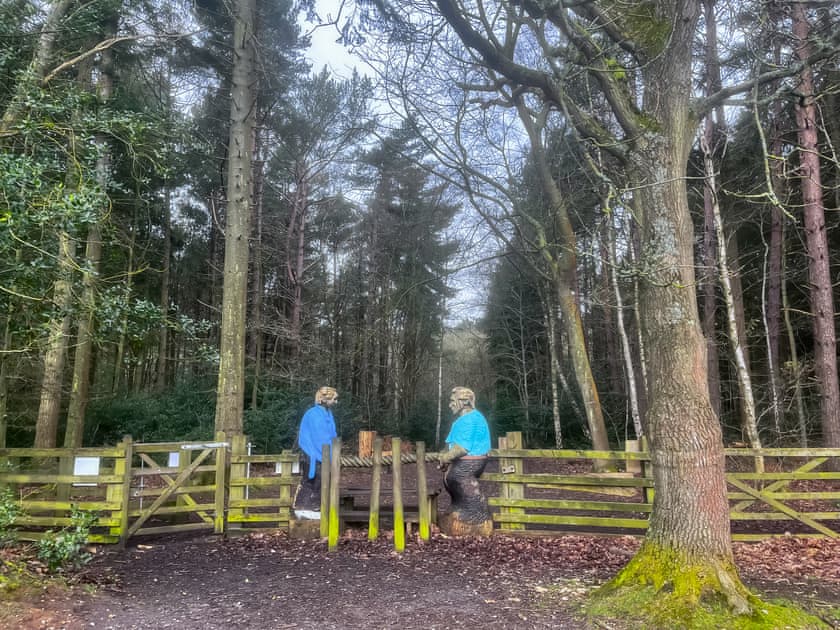 Holt country park | HollyhocksHollyhock House, Holt