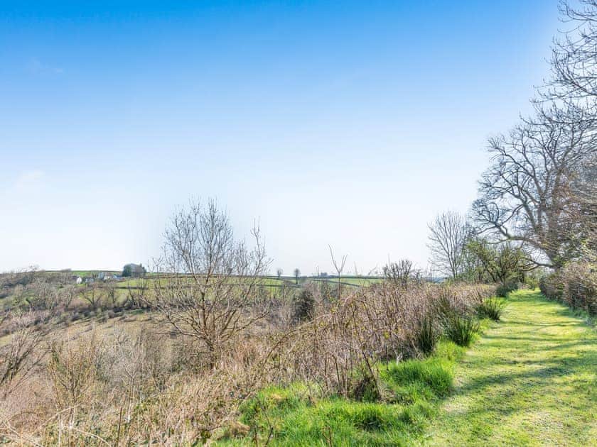 Woodland paths | Starlight - Talog Country Retreat, Talog