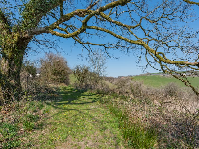 Woodland paths | Moonlight - Talog Country Retreat, Talog