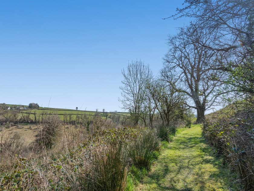 Woodland paths | Moonlight - Talog Country Retreat, Talog