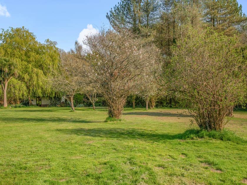 Garden and grounds | Moorland Lodge, Holt Wood, near Wimborne