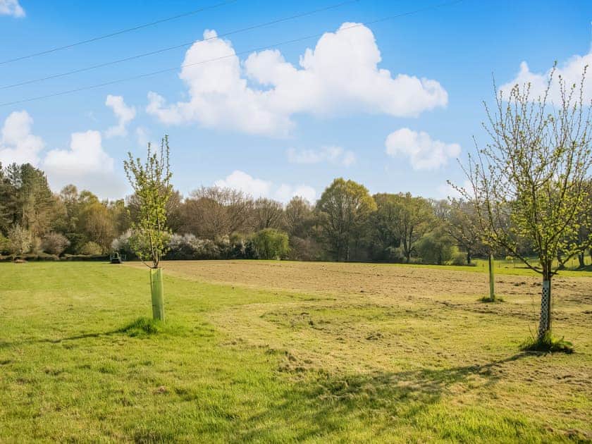 Surrounding area | Moorland Lodge, Holt Wood, near Wimborne