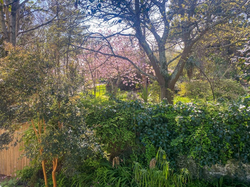 Communal garden | Elsewhere, Penzance
