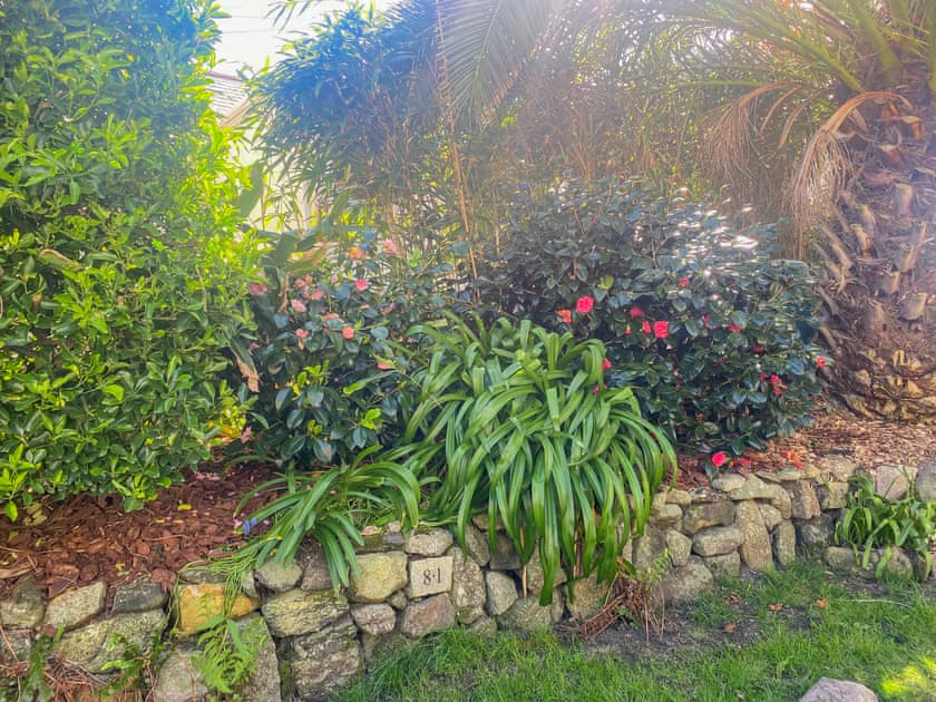View of the communal garden  | Elsewhere, Penzance