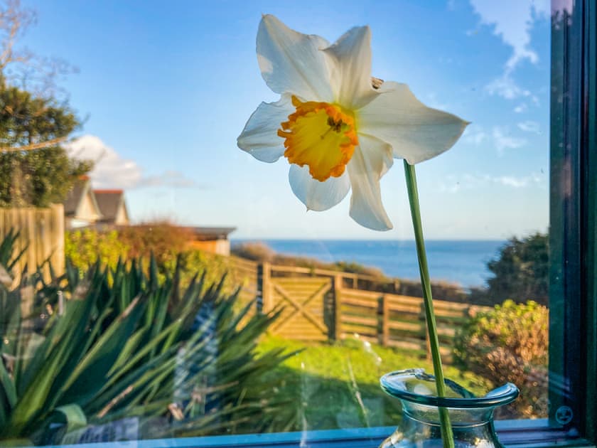 View | Monkstone View, Wiseman’s Bridge, near Saundersfoot