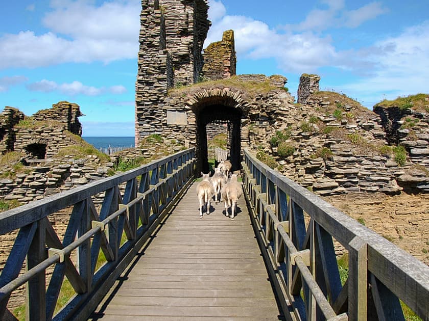 Surrounding area | Seaview Cottage, Wick