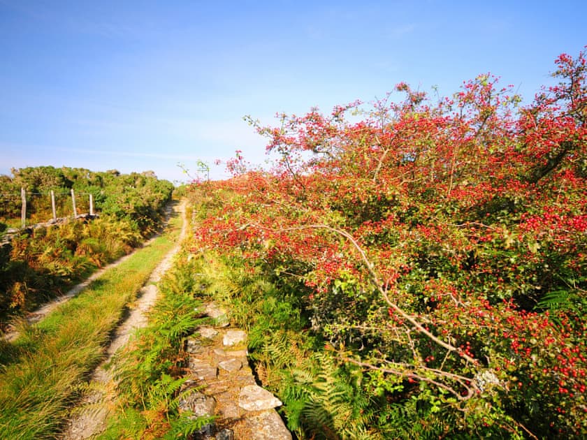 Surrounding area | Arthfan, Dolgellau