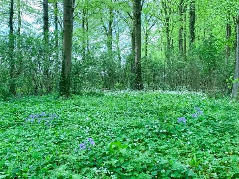 Surrounding area | Fawn Lea Cottage, Staindrop, near Barnard Castle