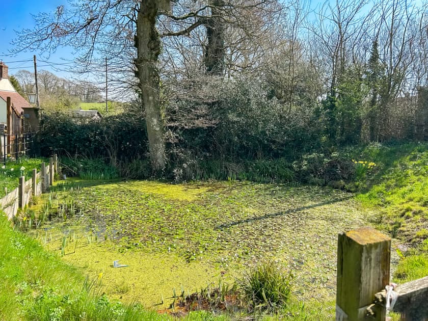 Surrounding area | The Stables, Sturminster Newton, near Sherbourne