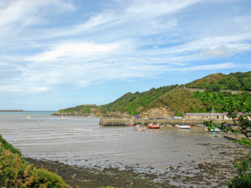 View from the Lookout Terrace | Carreg yr Eos, Fishguard