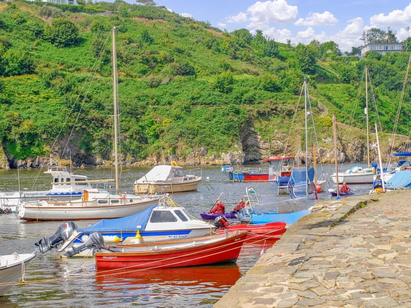 Fishguard Harbour  | Carreg yr Eos, Fishguard