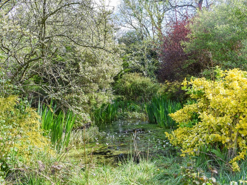 Garden | The Thatched Cottage - Sprytown Cottages, Lifton