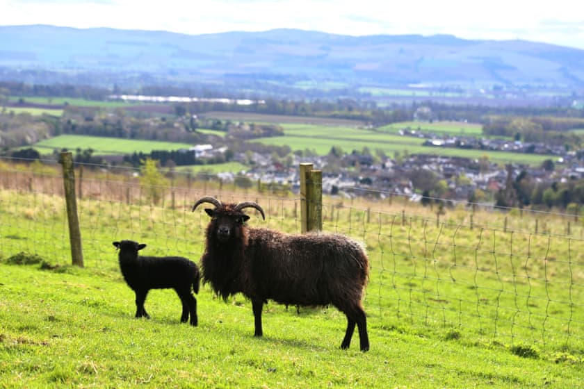 Surrounding area | Kirklandbank Farmhouse, Alyth