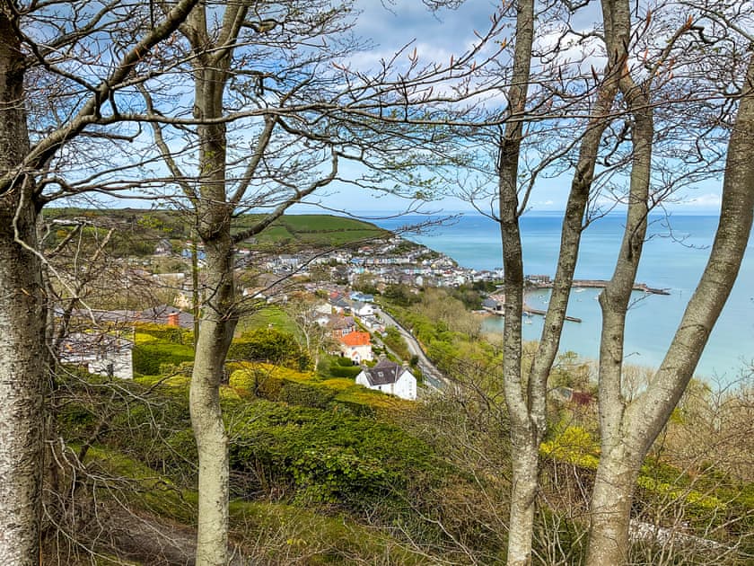 View | Bron-Yr-Aur - Penrhiw Pistyll Cottages, New Quay