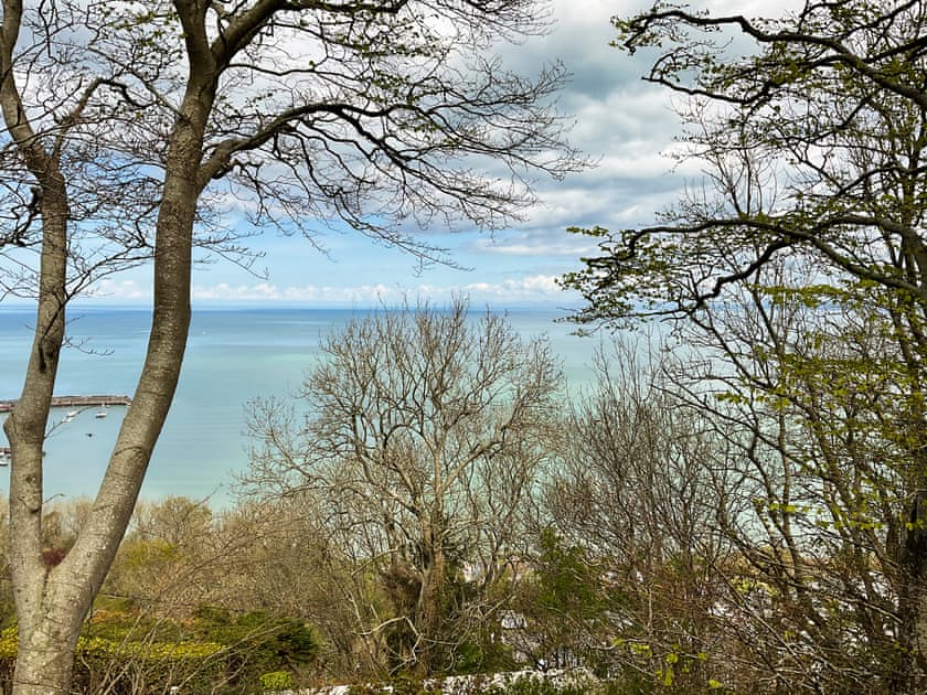 View | Bron-Yr-Aur - Penrhiw Pistyll Cottages, New Quay