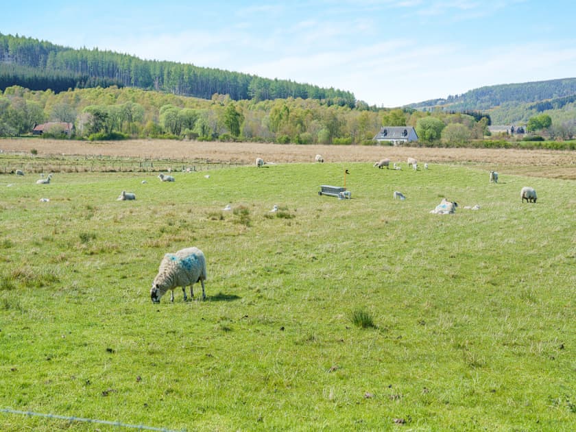 View | Ben View, Aberlour